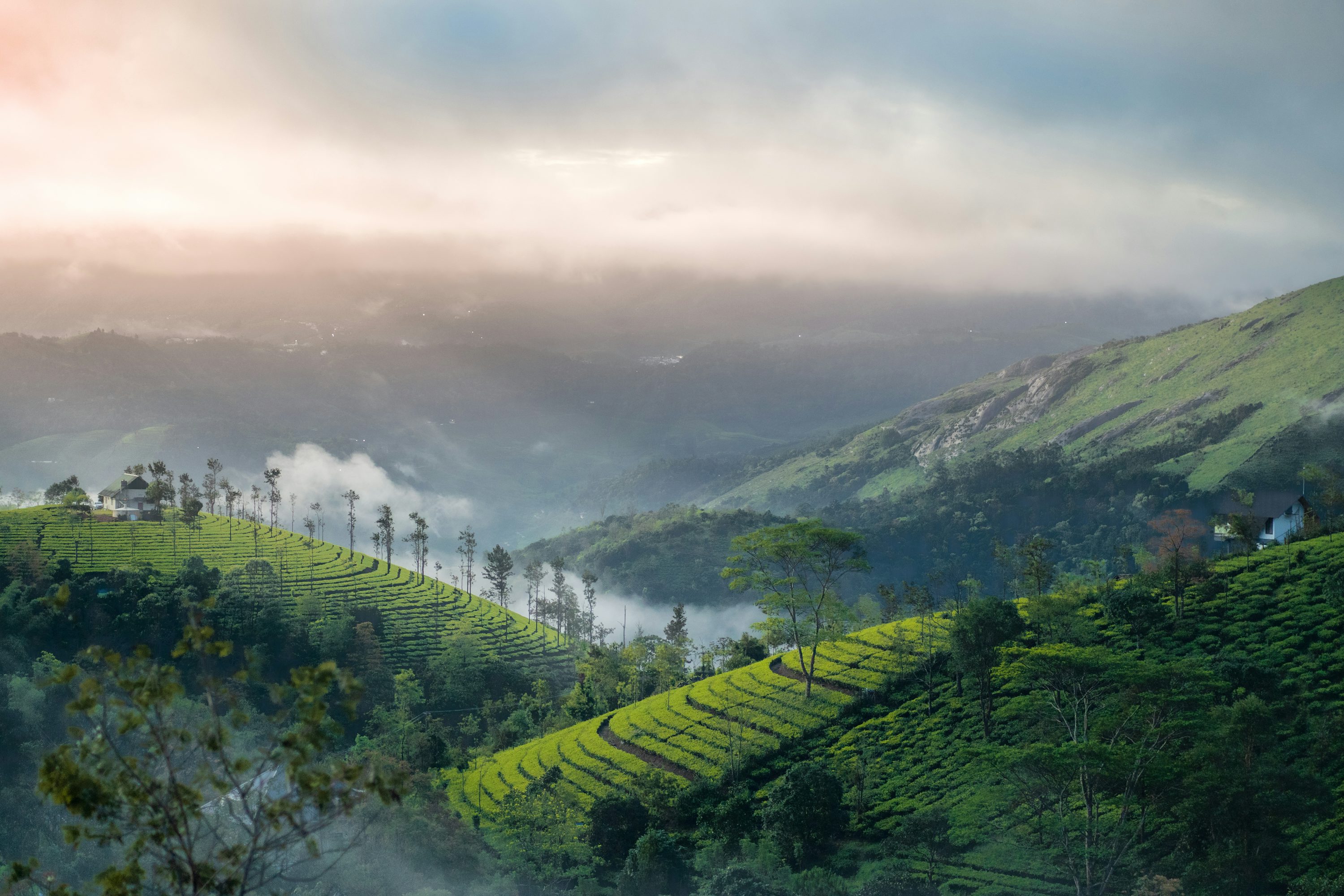 Kerala: Vagamon Nature & Culture Tour